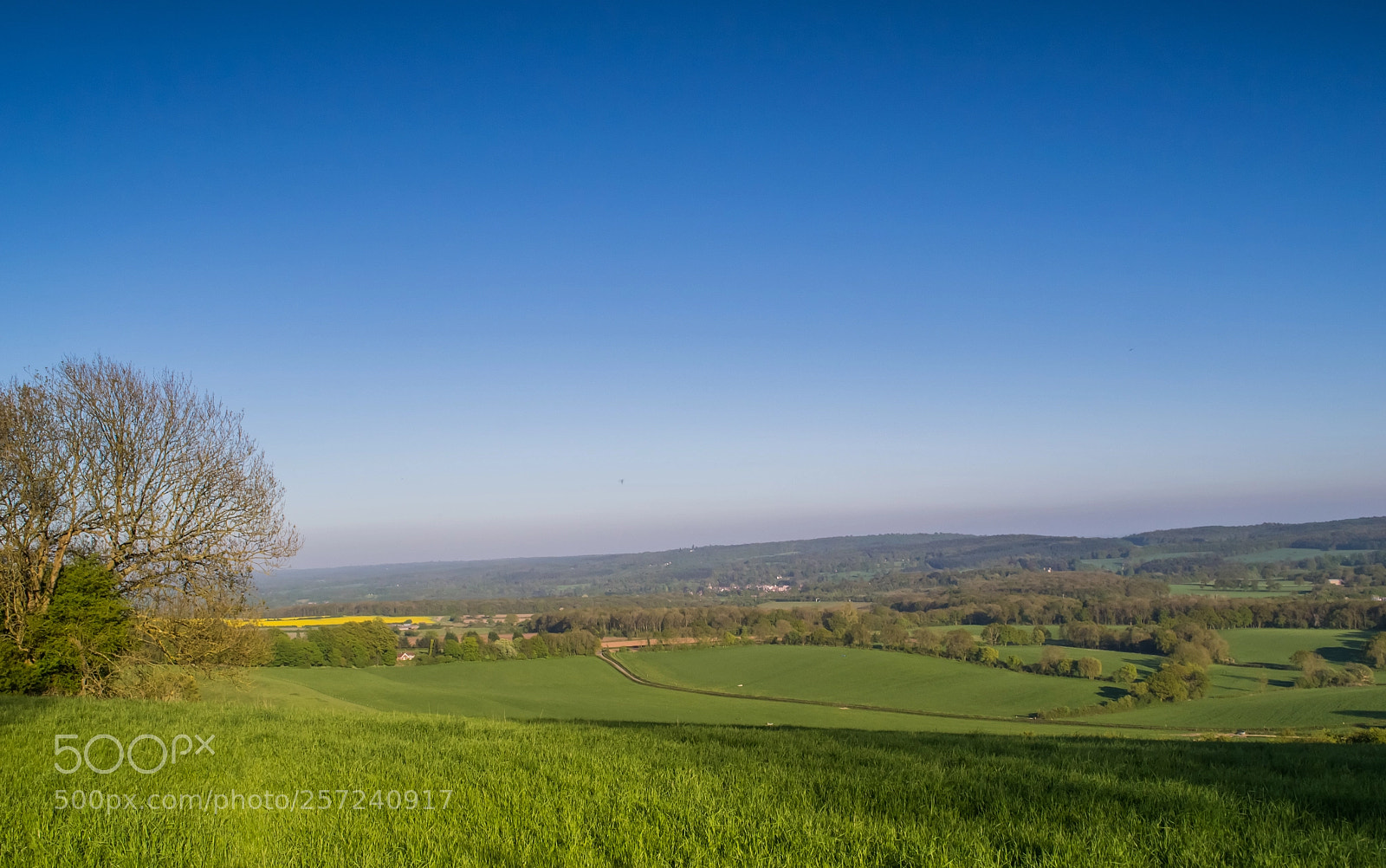 Nikon D3100 sample photo. Surrey hills, titsey photography