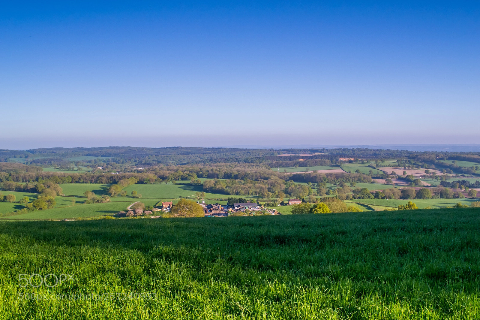 Nikon D3100 sample photo. Surrey hills, titsey photography