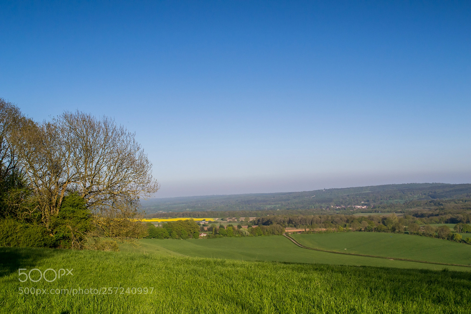 Nikon D3100 sample photo. Surrey hills, titsey photography