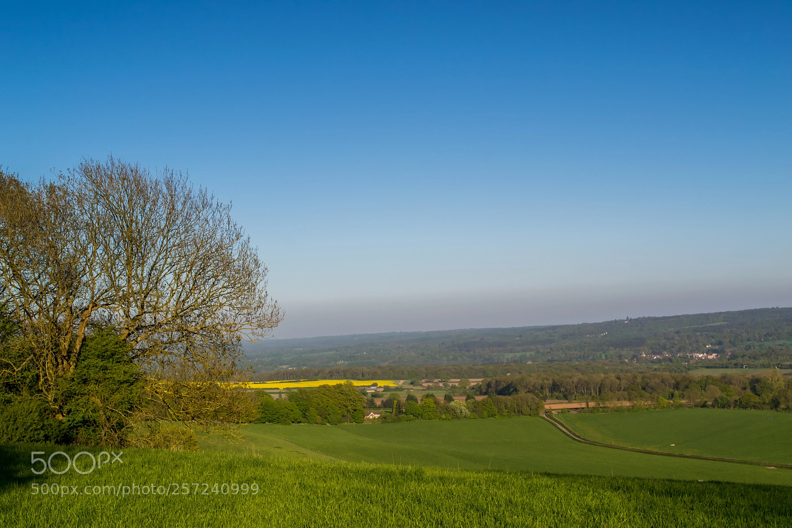 Nikon D3100 sample photo. Surrey hills, titsey photography