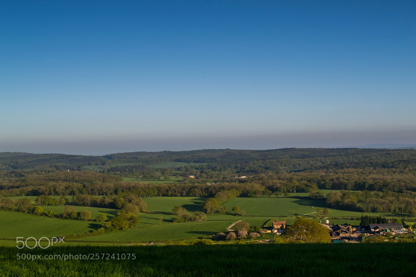 Nikon D3100 sample photo. Surrey hills, titsey photography