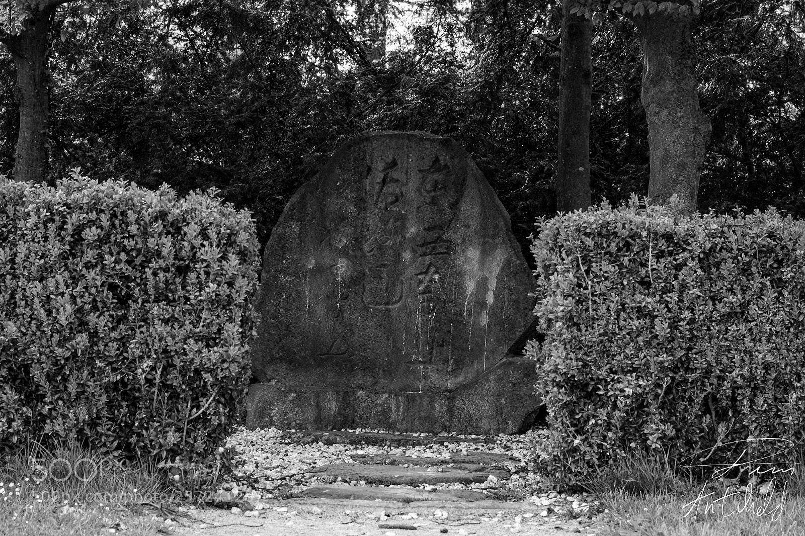 Canon EOS 600D (Rebel EOS T3i / EOS Kiss X5) sample photo. Rostock shaolin. photography