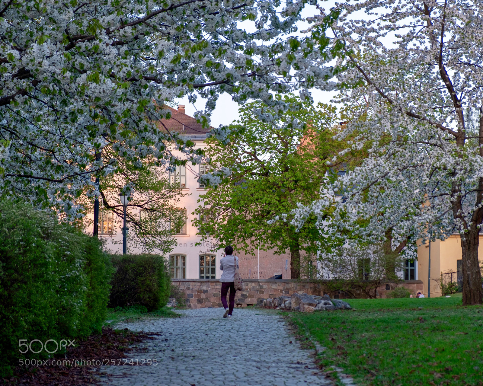 Fujifilm X-T20 sample photo. Evening stroll photography