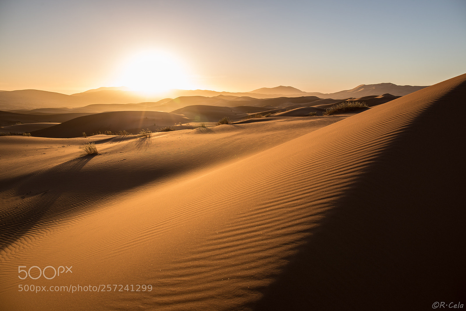 Canon EOS 6D sample photo. Sunrise over the dunes photography