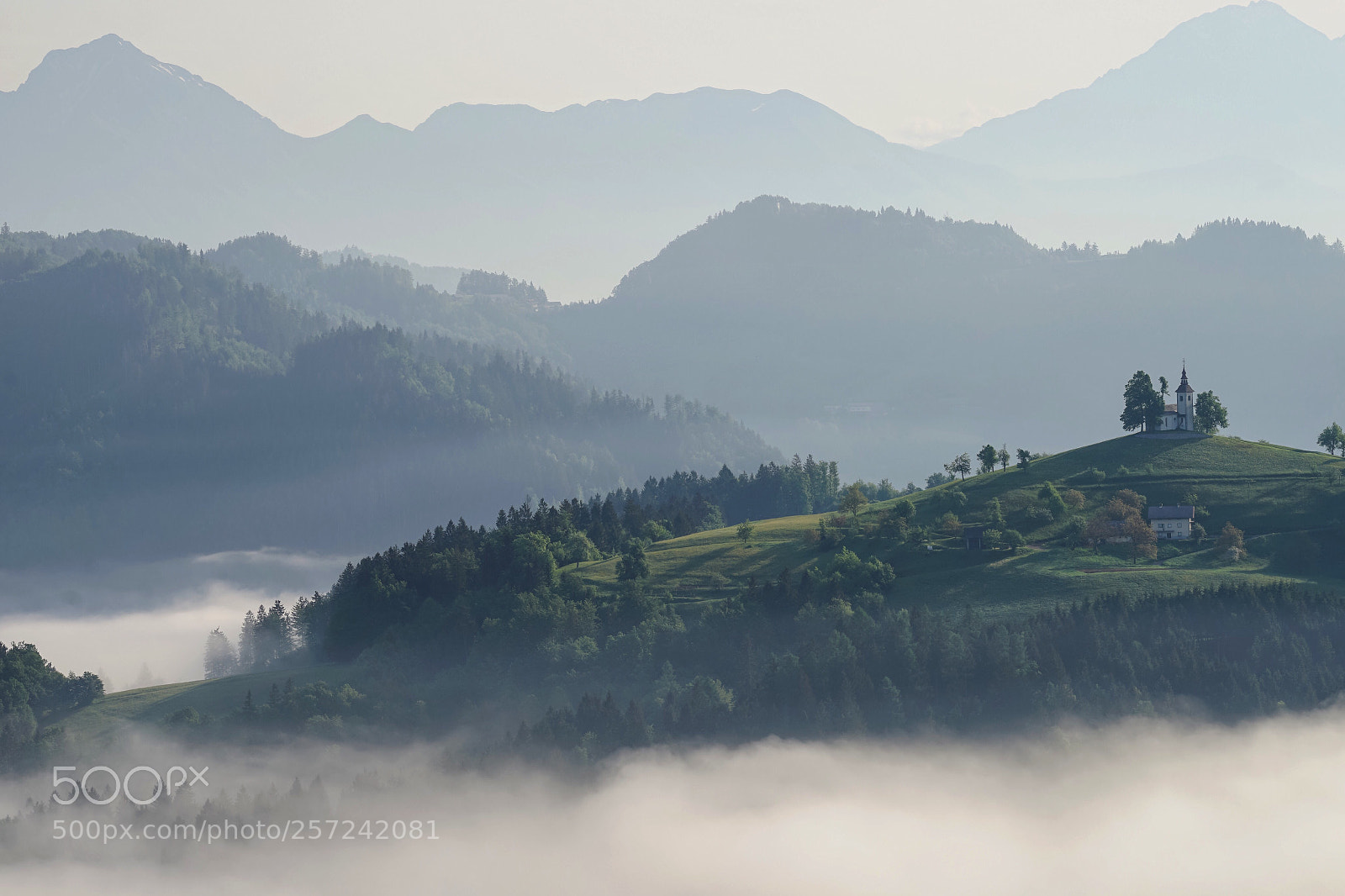 Sony a7 II sample photo. The foggy sunrise photography
