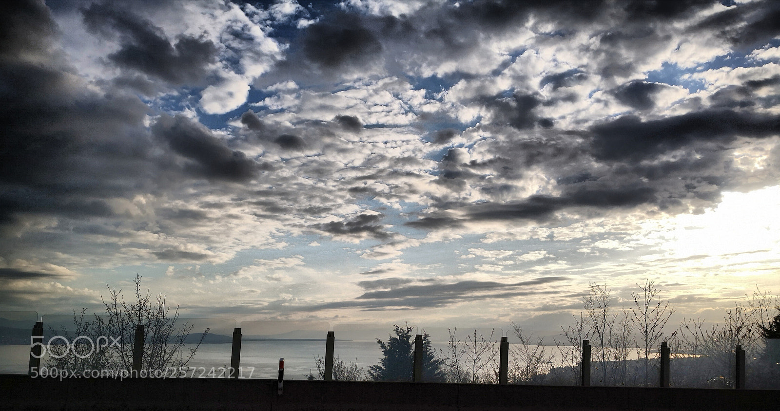 HUAWEI Mate 10 Pro sample photo. Untitled photography