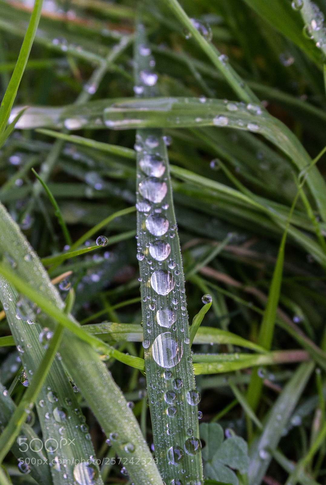 Sony a6000 sample photo. Queueing up photography