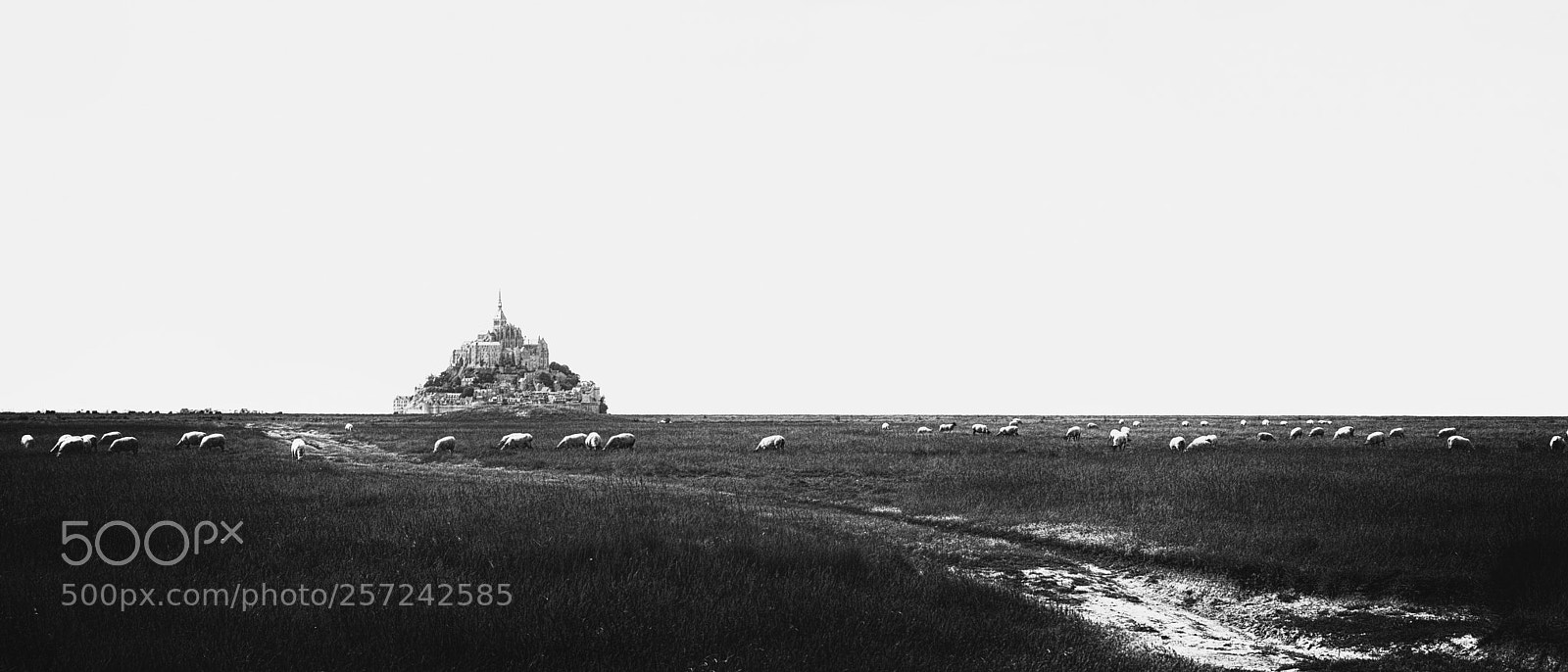Nikon D750 sample photo. Le mont-saint-michel panorama photography