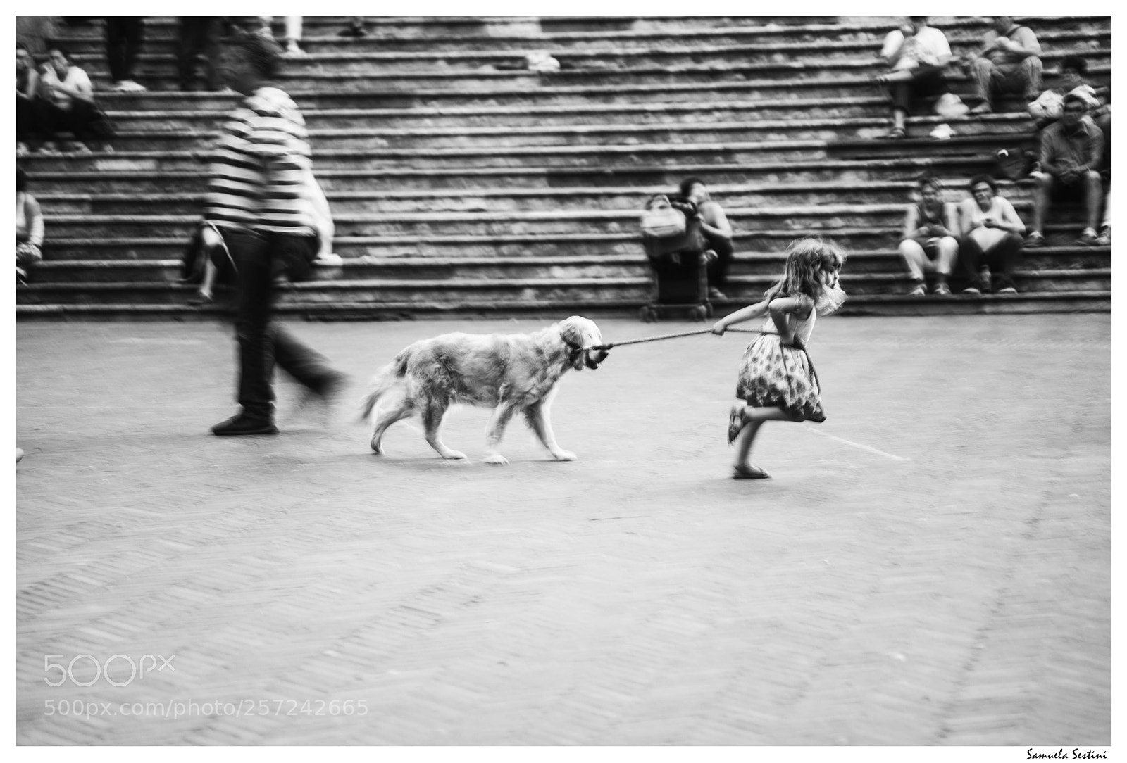 Nikon D750 sample photo. Dog with girl photography