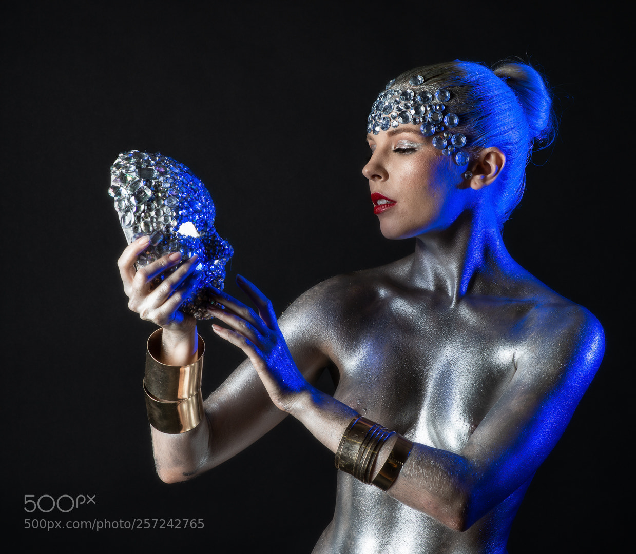 Nikon D800 sample photo. Goddess in silver photography