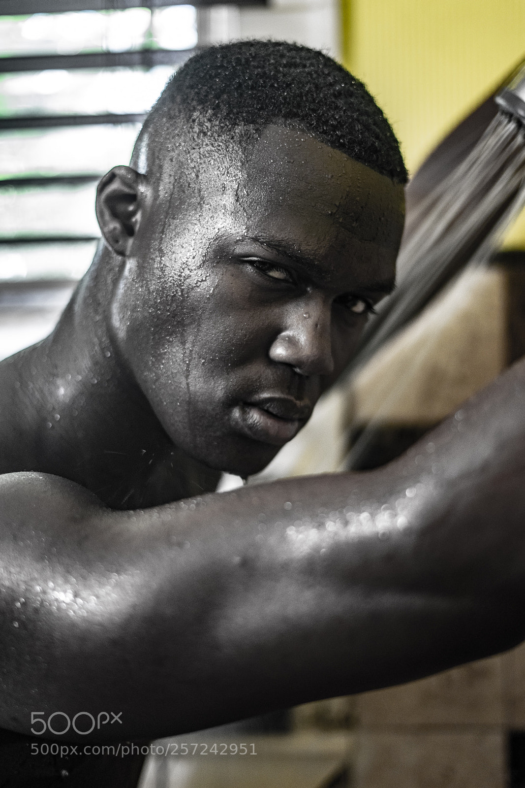 Sony a7 II sample photo. Blkwhte photography