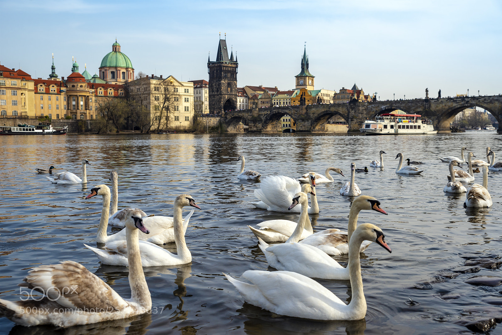 Nikon D810 sample photo. River vltava photography