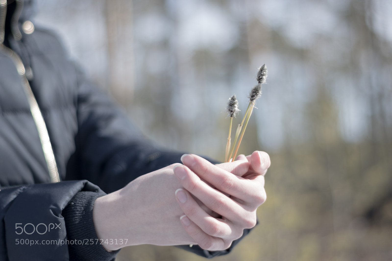 Nikon D5300 sample photo. Care for nature photography