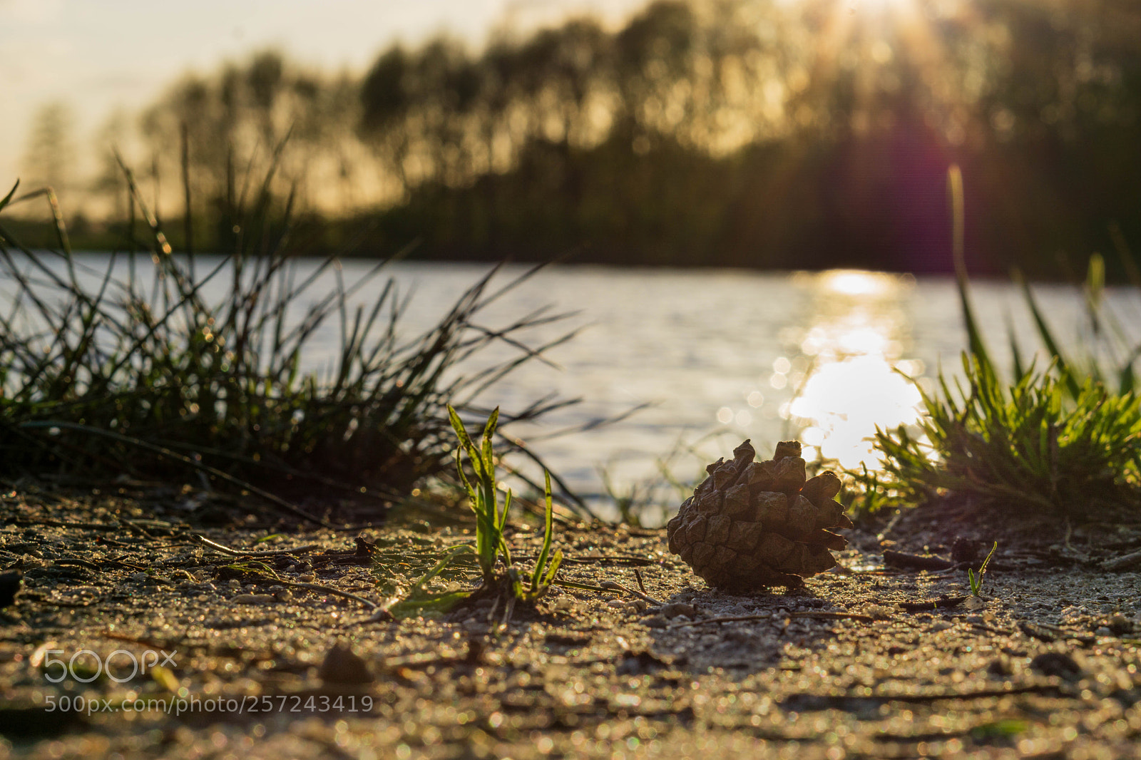 Sony a6000 sample photo. Shine of the earth photography
