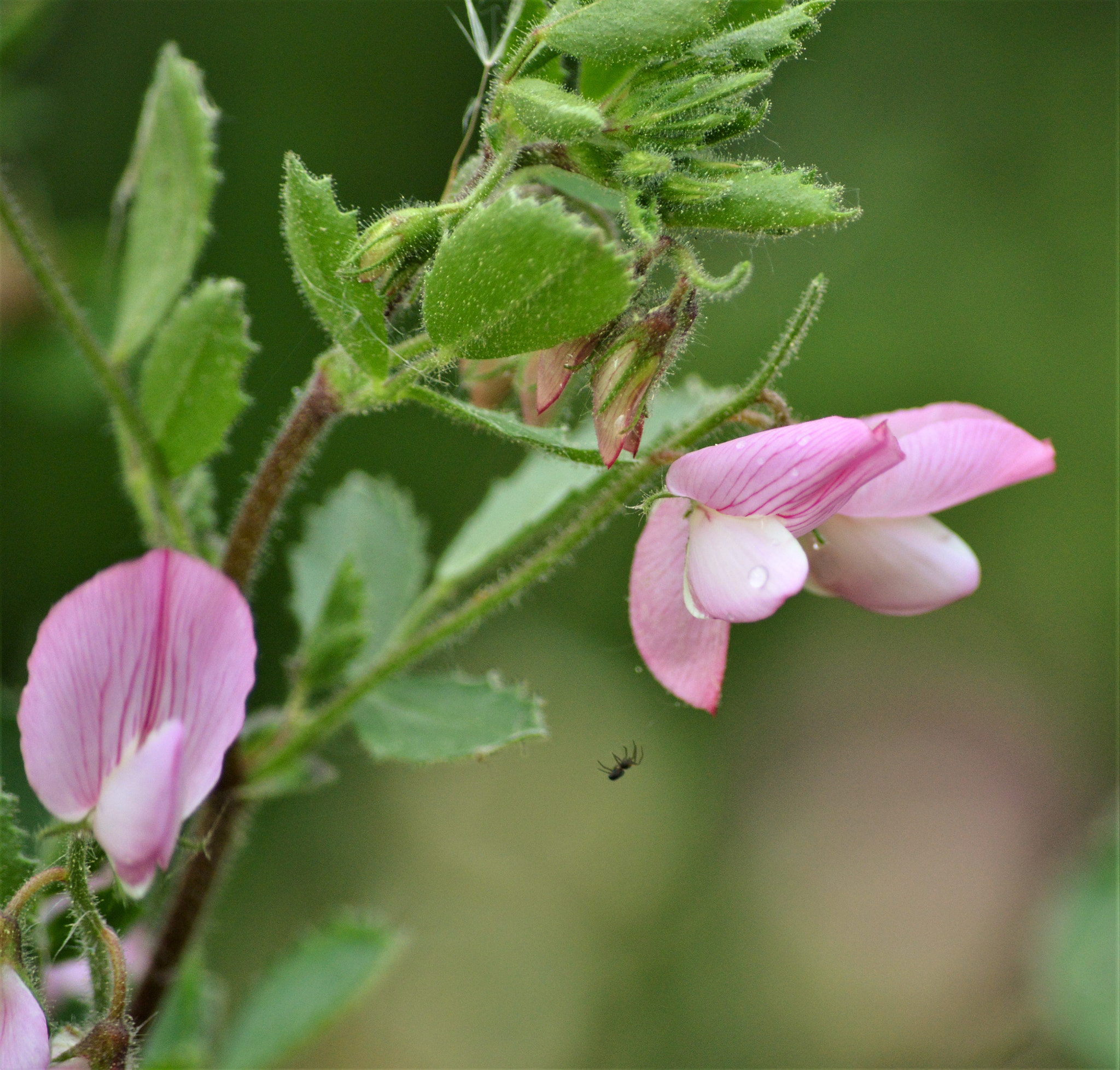 Nikon D3200 sample photo