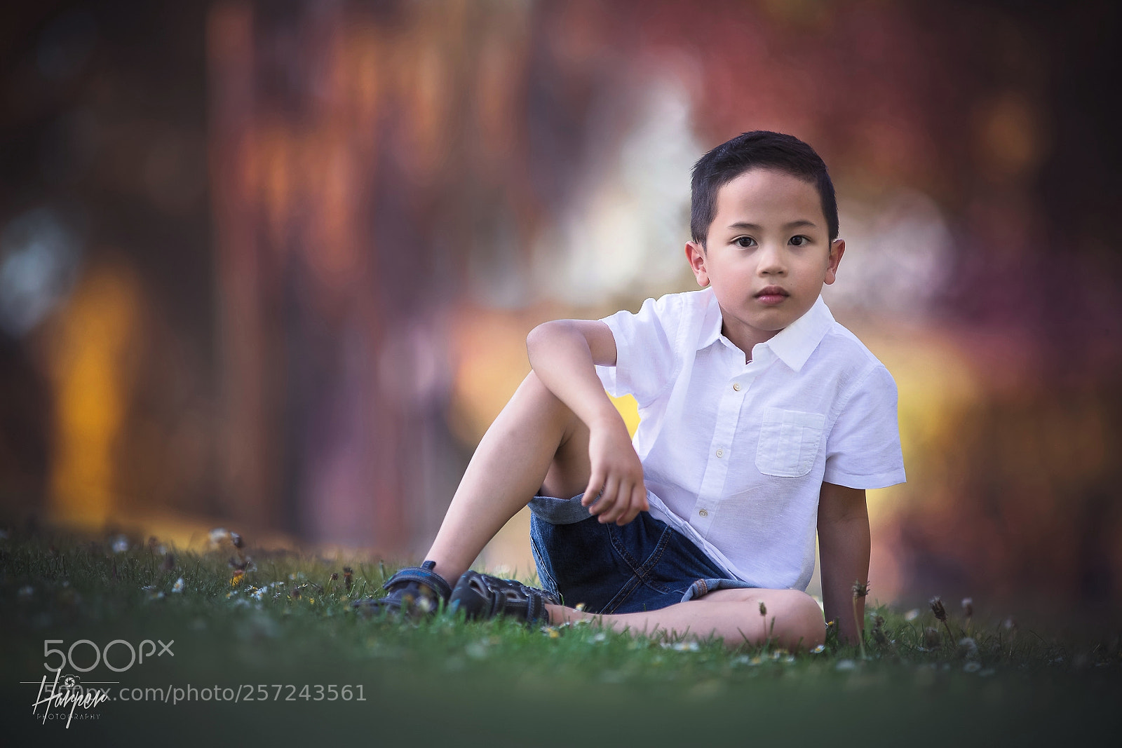 Canon EOS 5D Mark IV sample photo. My little boy photography
