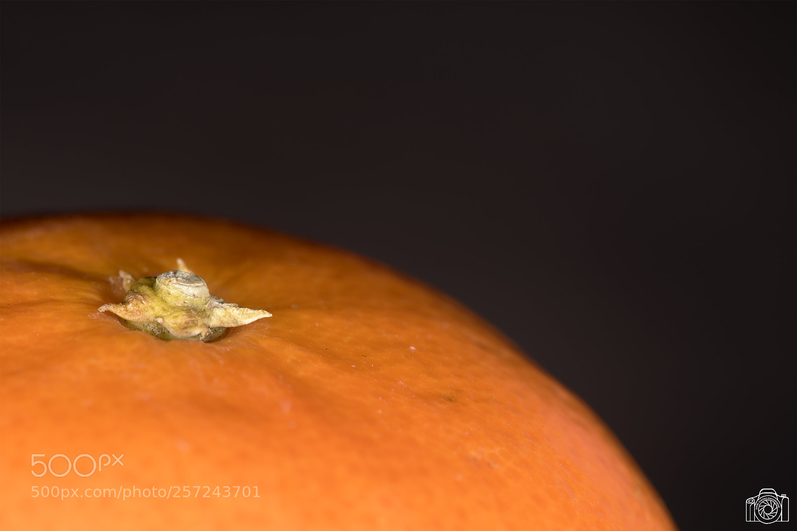Nikon D850 sample photo. Orange ou clémentine ? photography