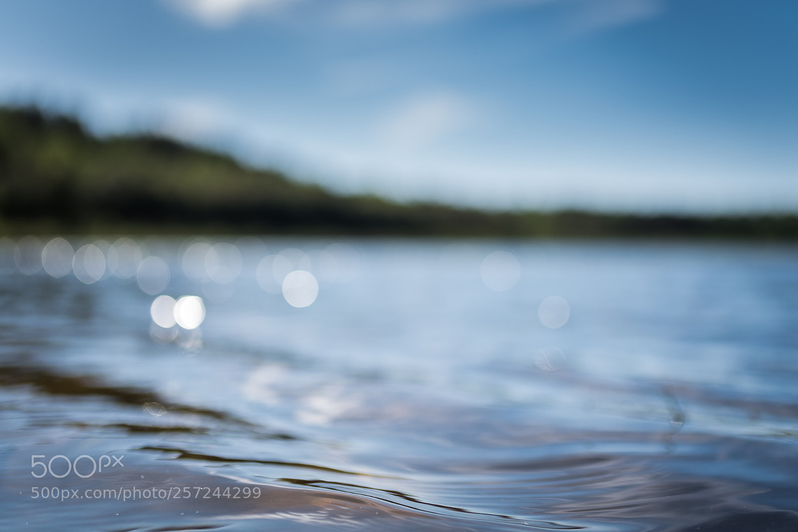 Nikon D750 sample photo. Pond photography