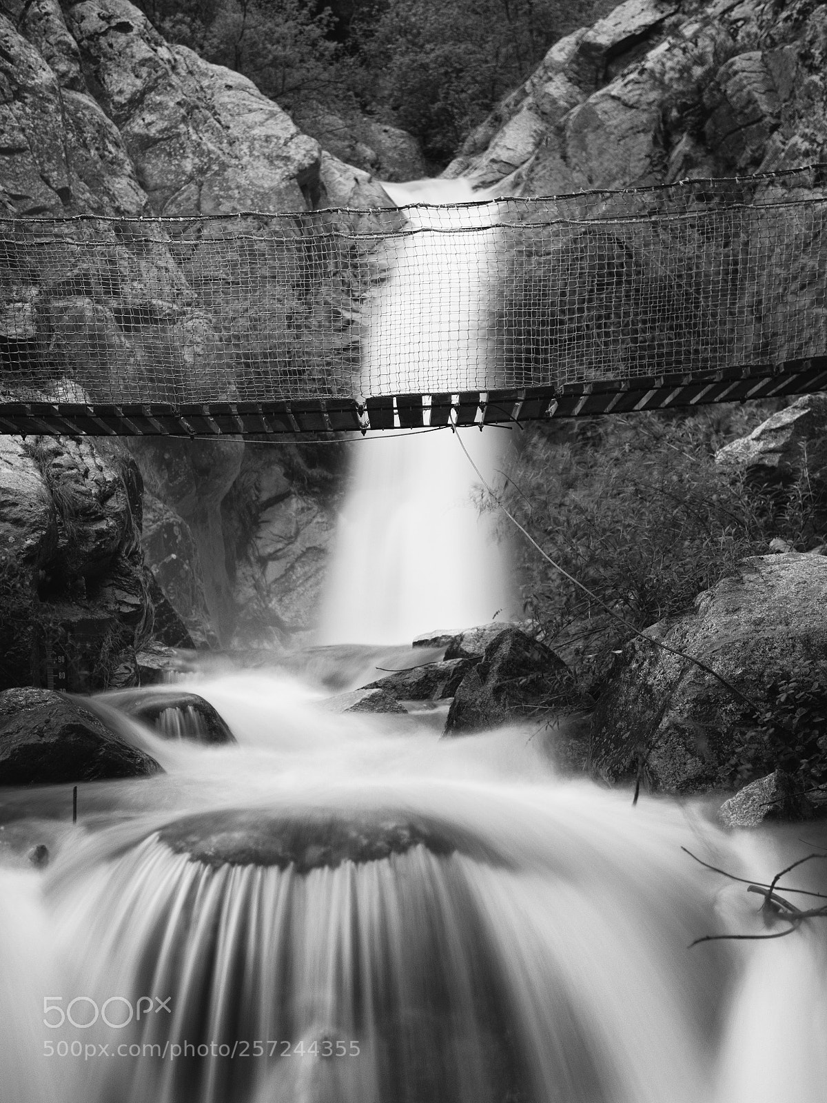 Olympus OM-D E-M10 II sample photo. Bridge over the river photography