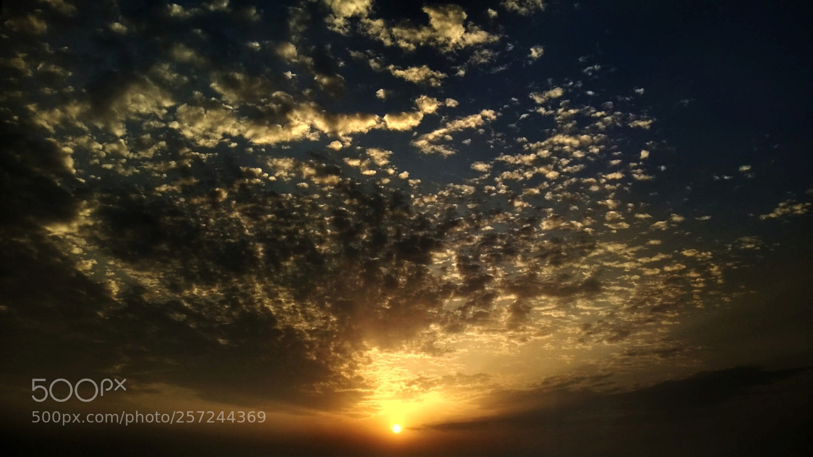 Xiaomi Redmi 4X sample photo. From damietta with love ... photography
