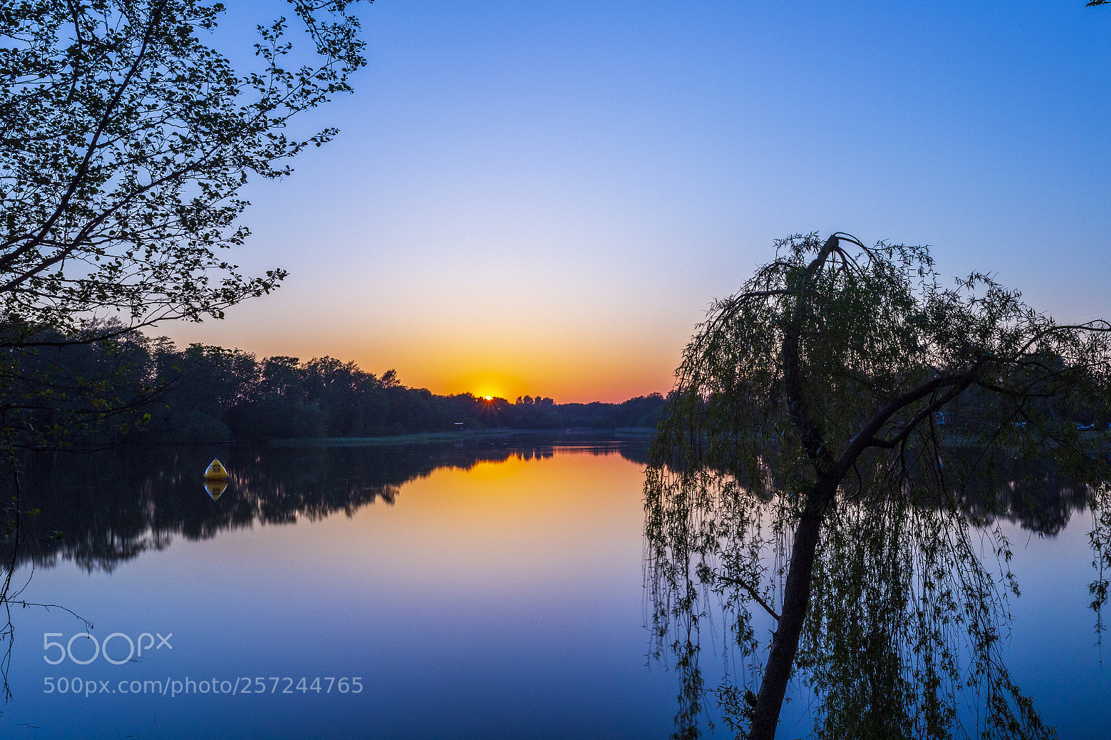 Canon EOS 6D sample photo. Golden sunset photography