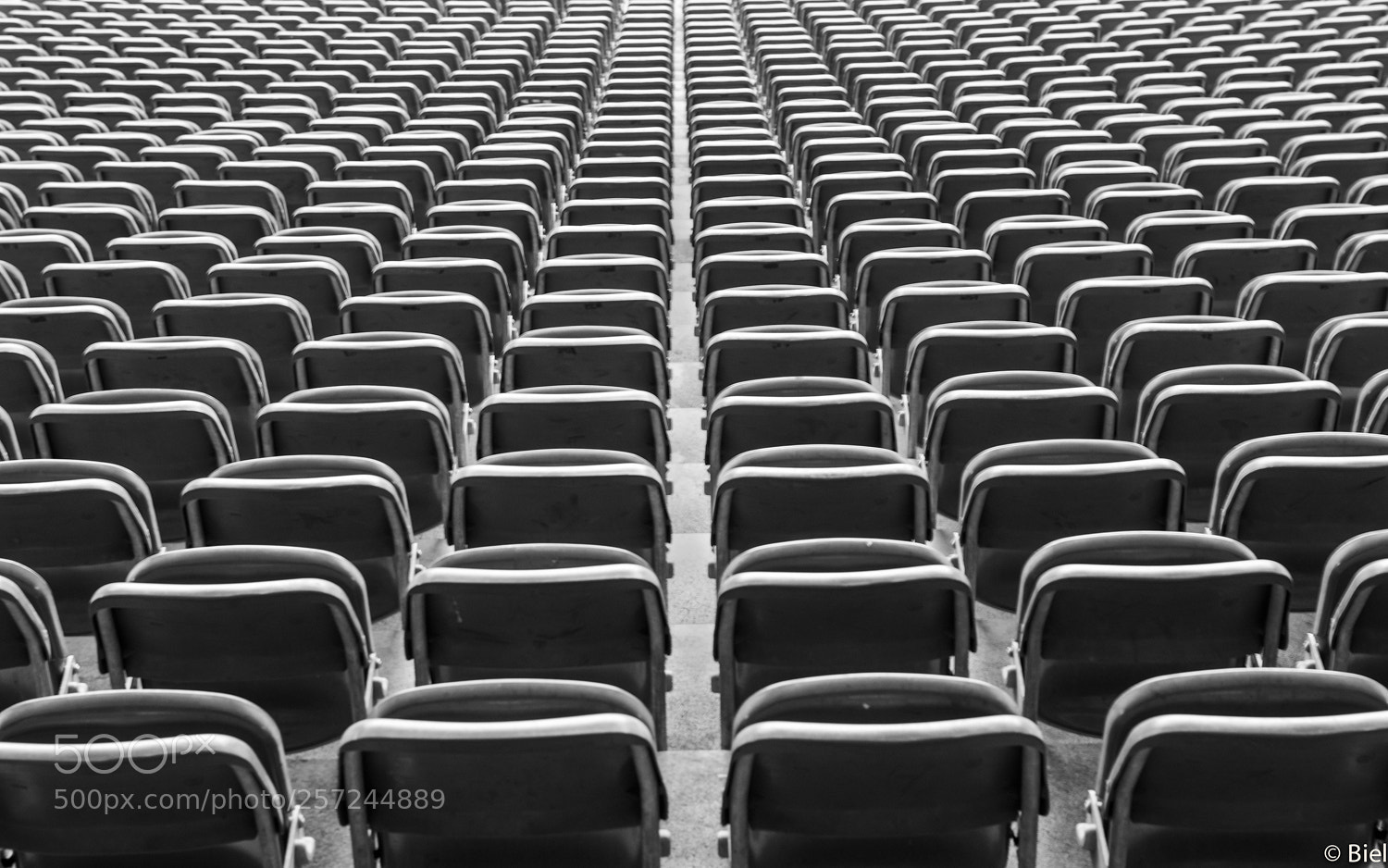 Nikon D610 sample photo. Have a seat photography