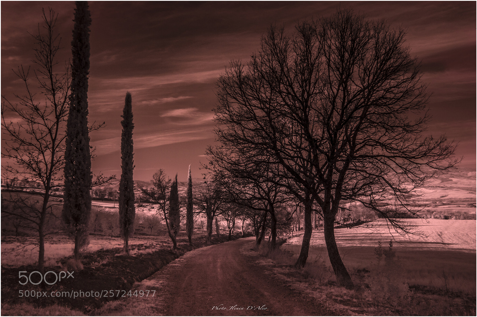 Nikon D3200 sample photo. Infrared landscape photography