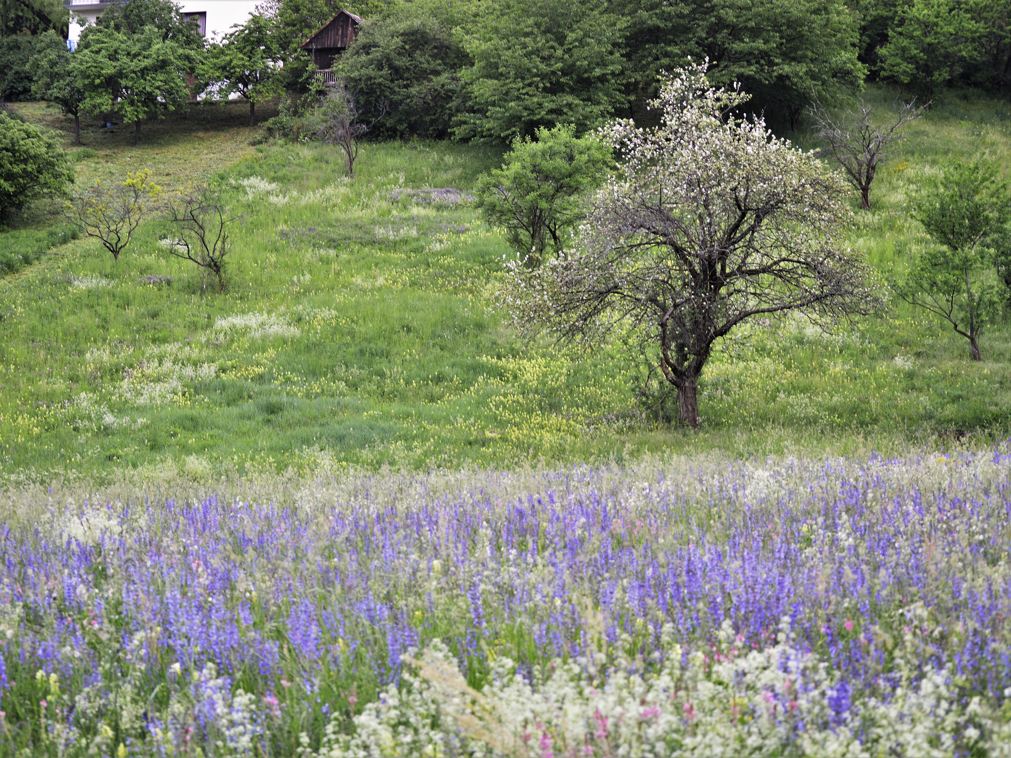 Nikon D3200 sample photo