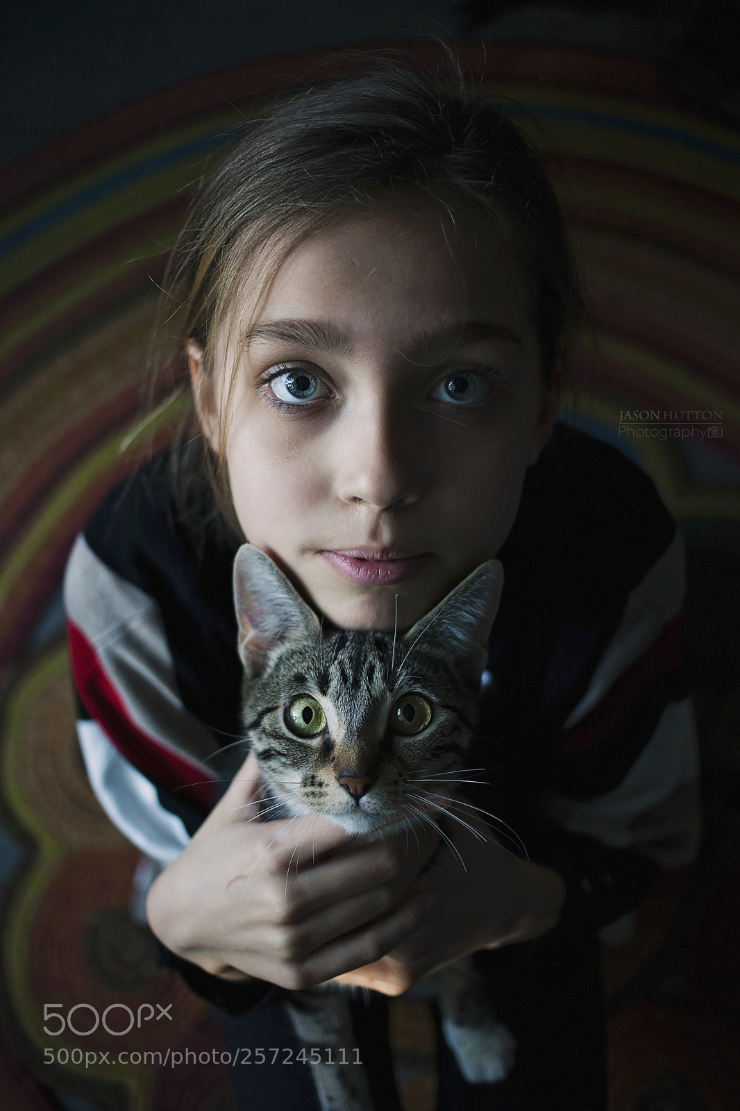 Canon EOS 5D Mark II sample photo. Cat and i photography