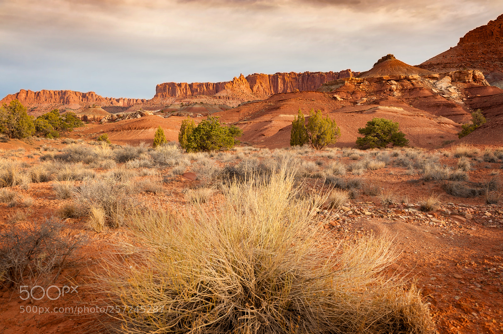 Nikon D700 sample photo. Capitol reef, utah photography