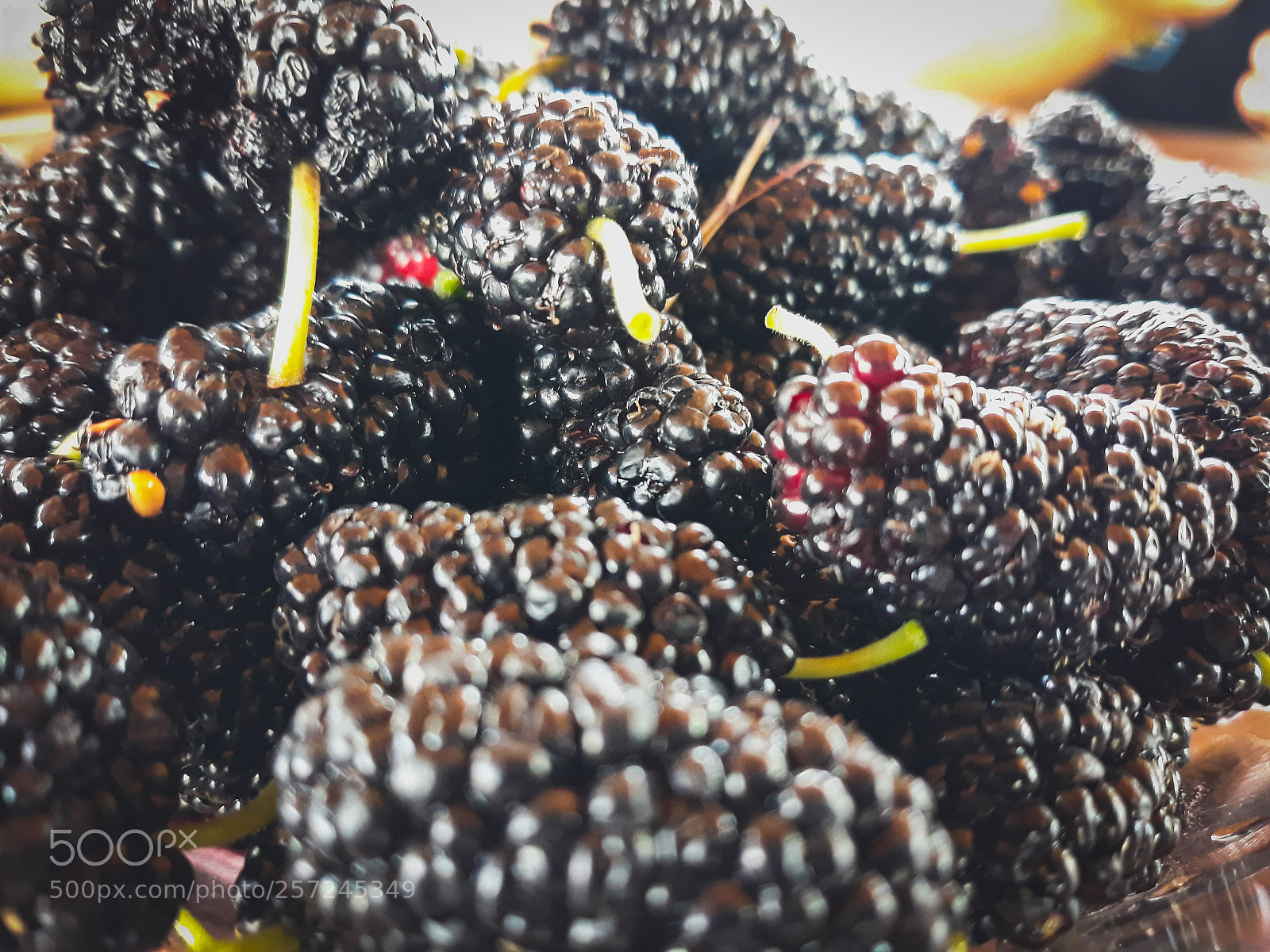 Samsung Galaxy J7 sample photo. Red mulberry photography