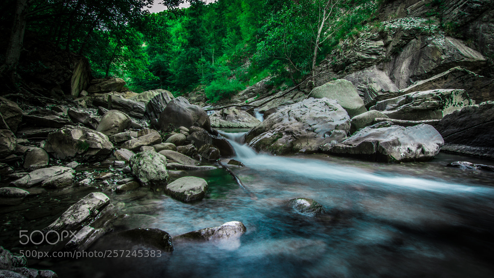 Nikon D3200 sample photo. The river photography