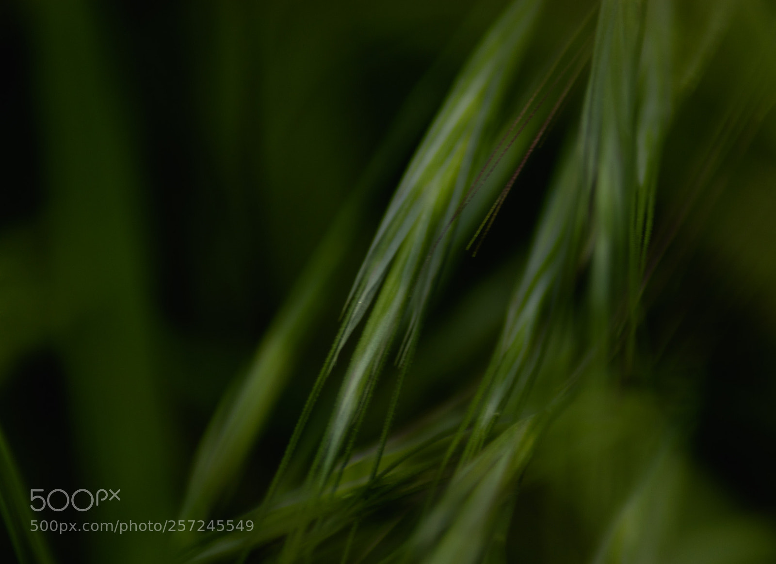 Canon EOS 77D (EOS 9000D / EOS 770D) sample photo. Untitled photography