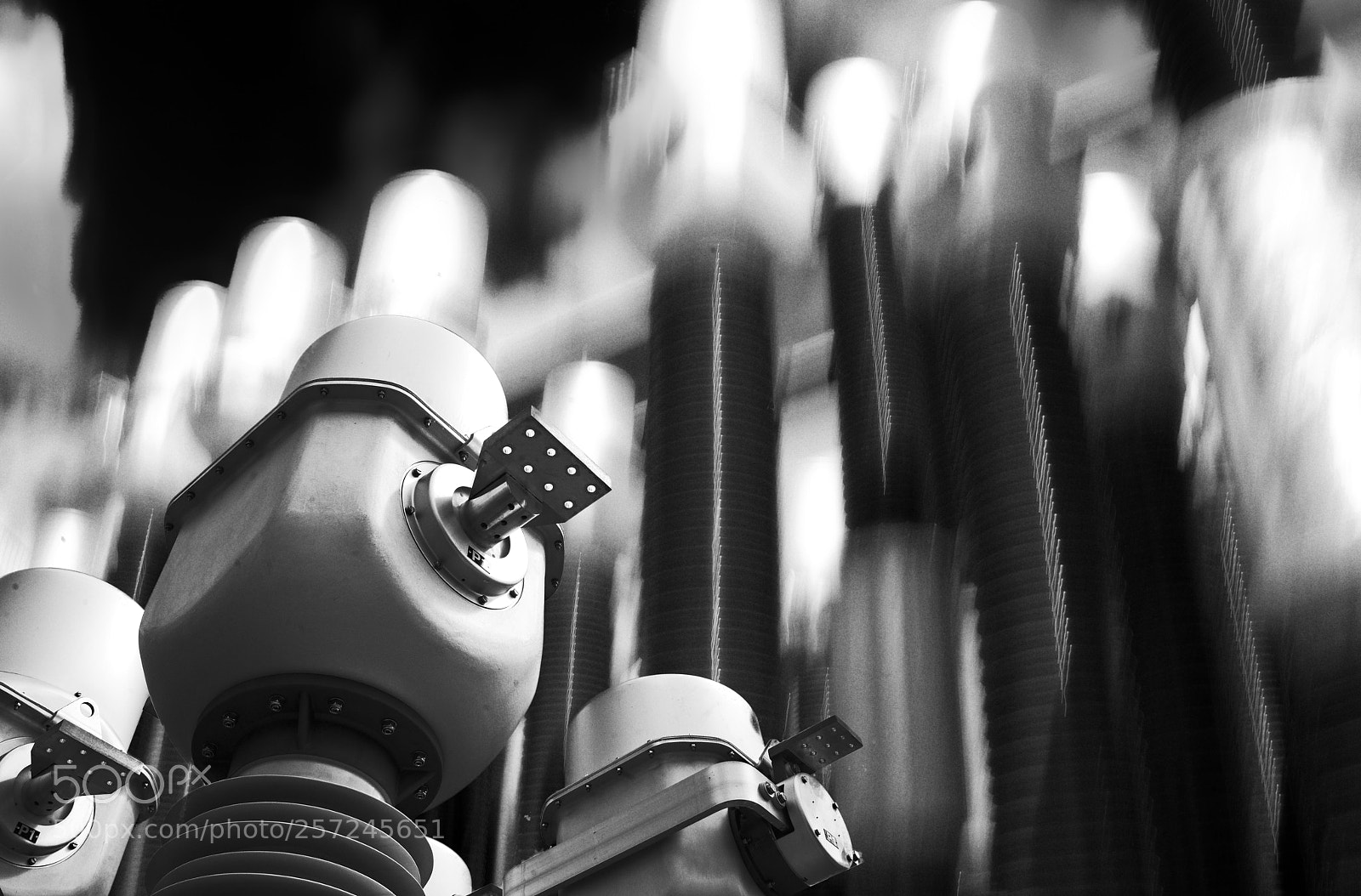 Nikon D800 sample photo. Transformed photography