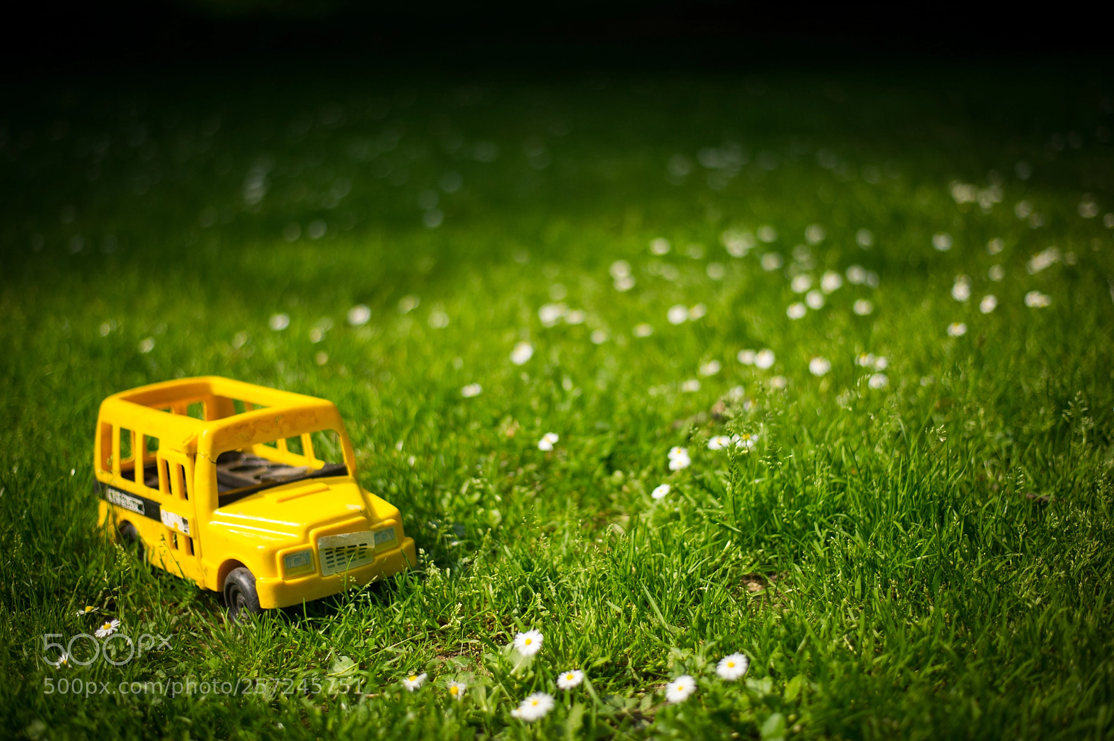Nikon D3S sample photo. Another sunny day photography