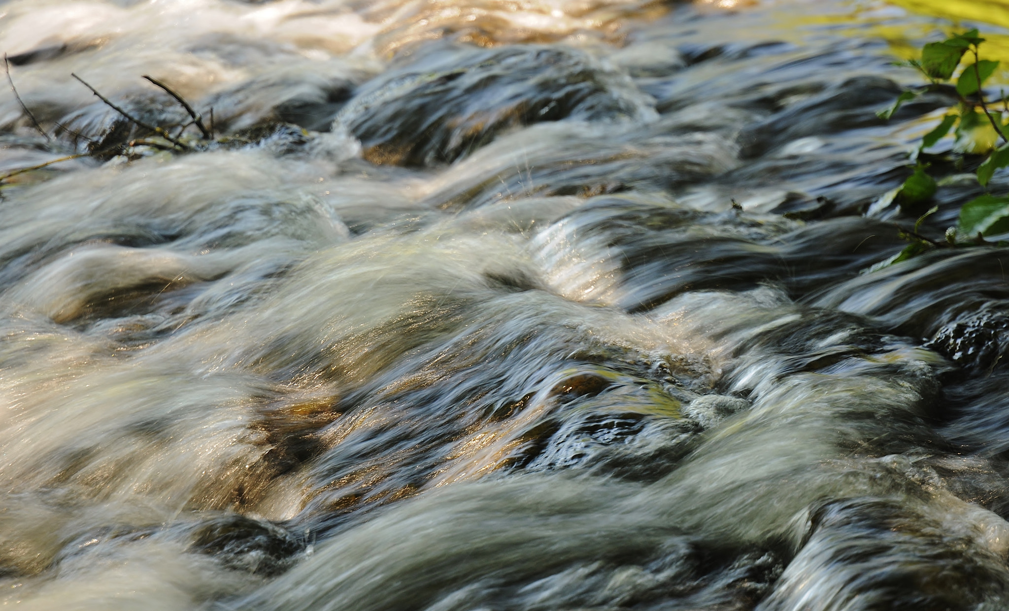 Nikon D300 sample photo. My first shot photography