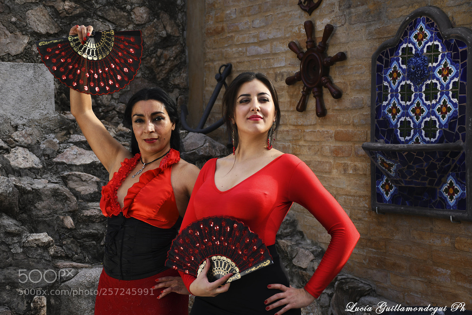 Nikon D7500 sample photo. Flamenco photography