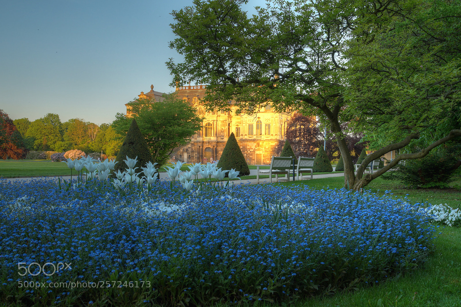 Sony SLT-A58 sample photo. Großer garten dresden photography