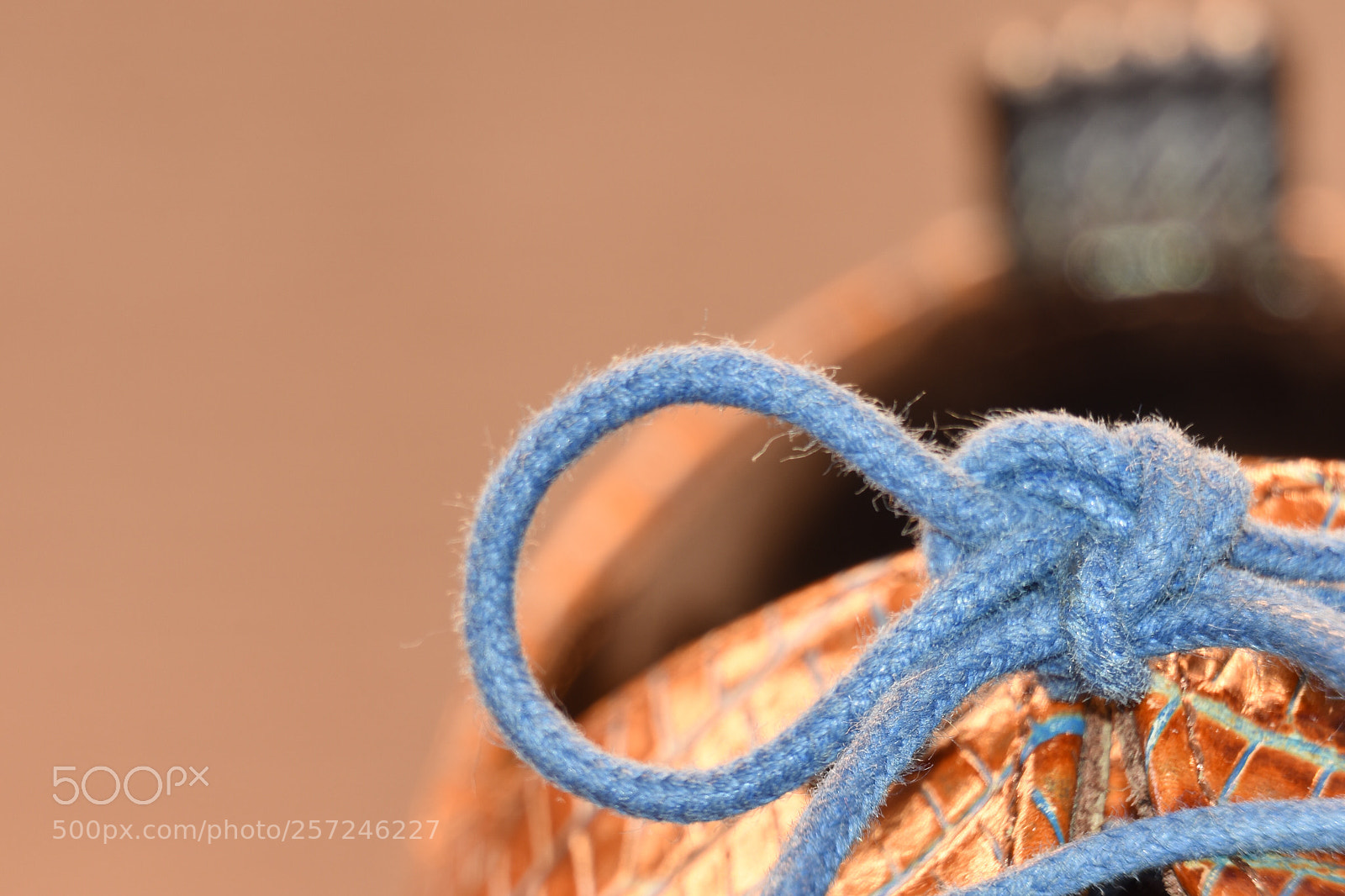 Nikon D7200 sample photo. Shoeseye photography