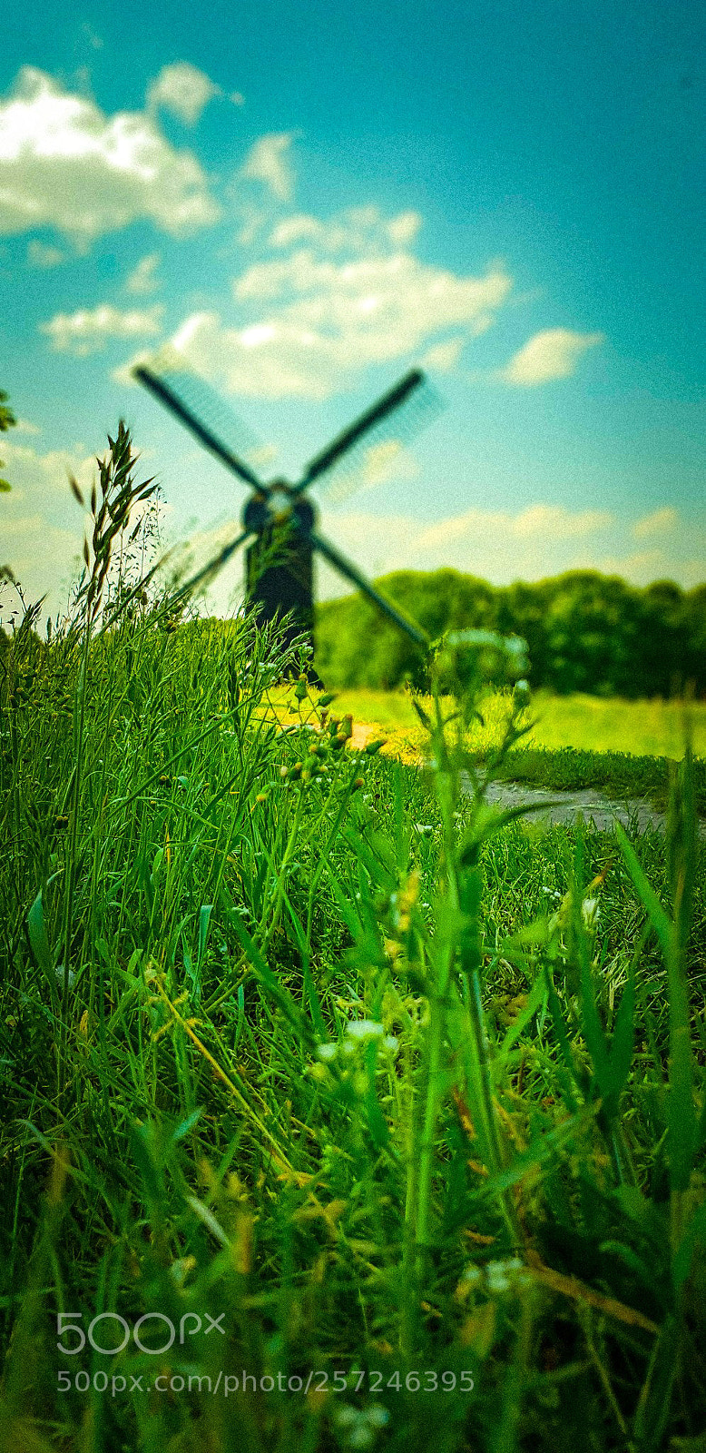 Samsung Galaxy S9 sample photo. Untitled photography