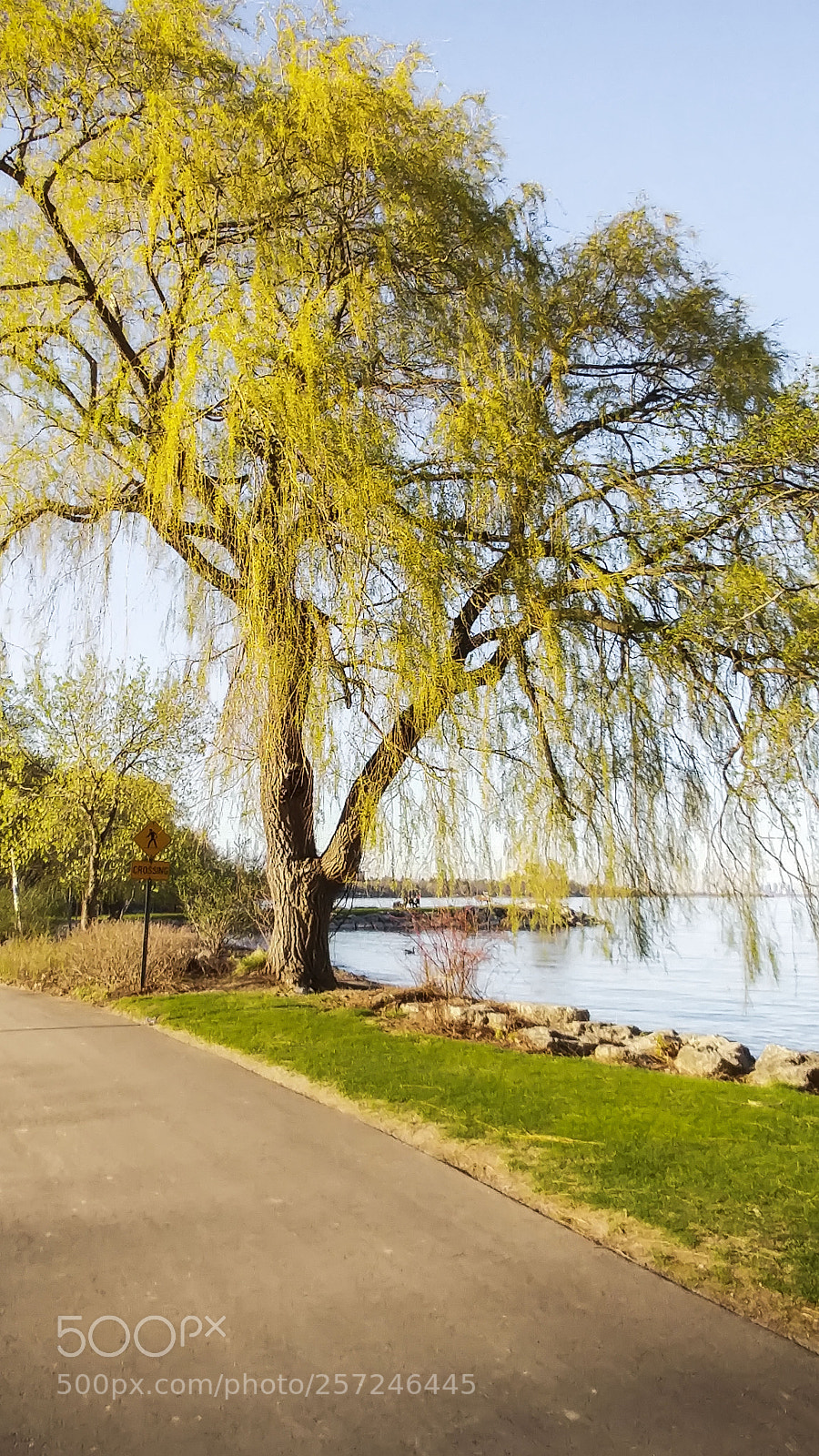 LG G5 sample photo. Untouched photography