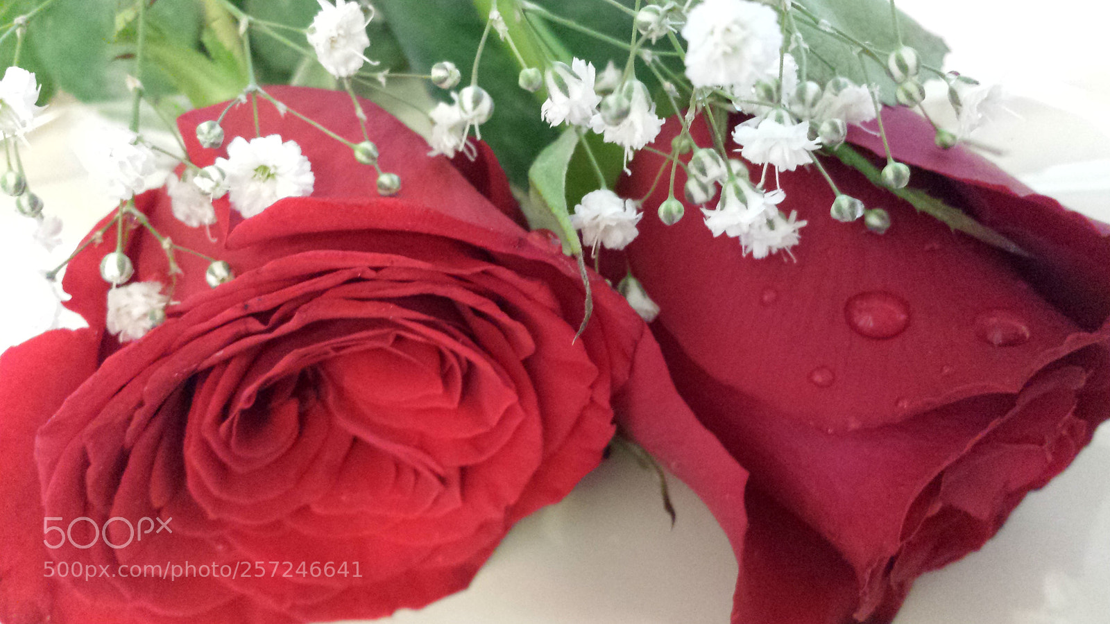 Samsung Galaxy S4 sample photo. Untitled photography