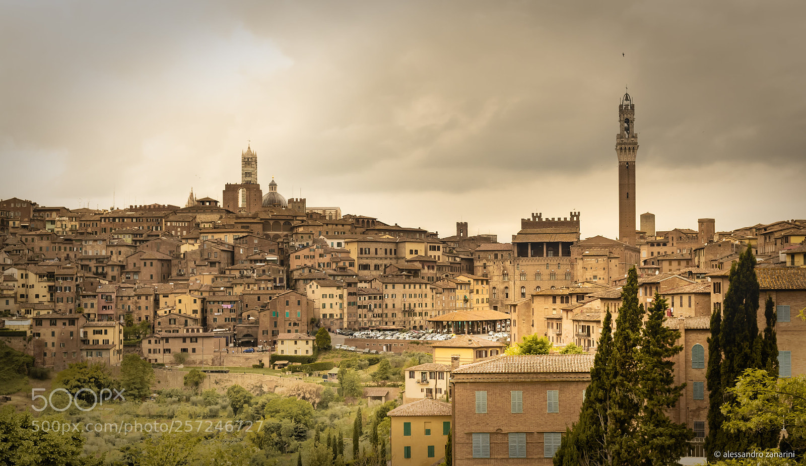 Nikon D7100 sample photo. Siena roofs photography