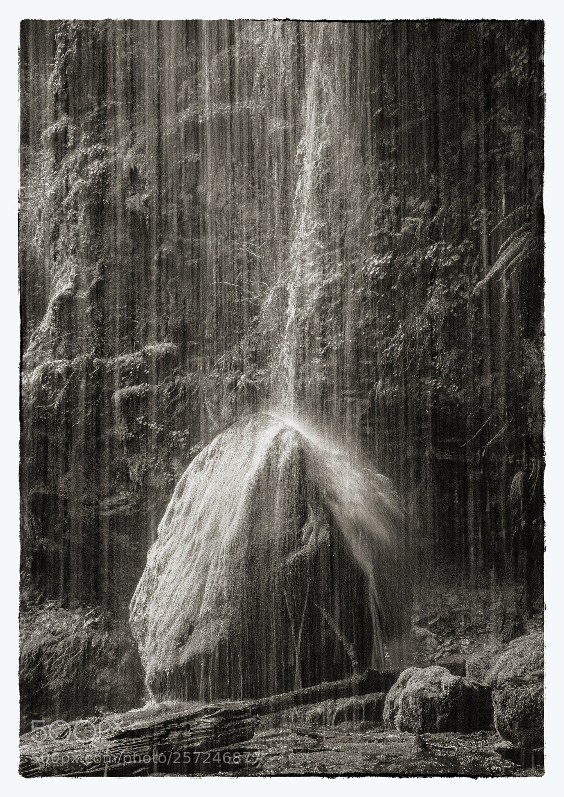Canon EOS 7D Mark II sample photo. Nature's force photography