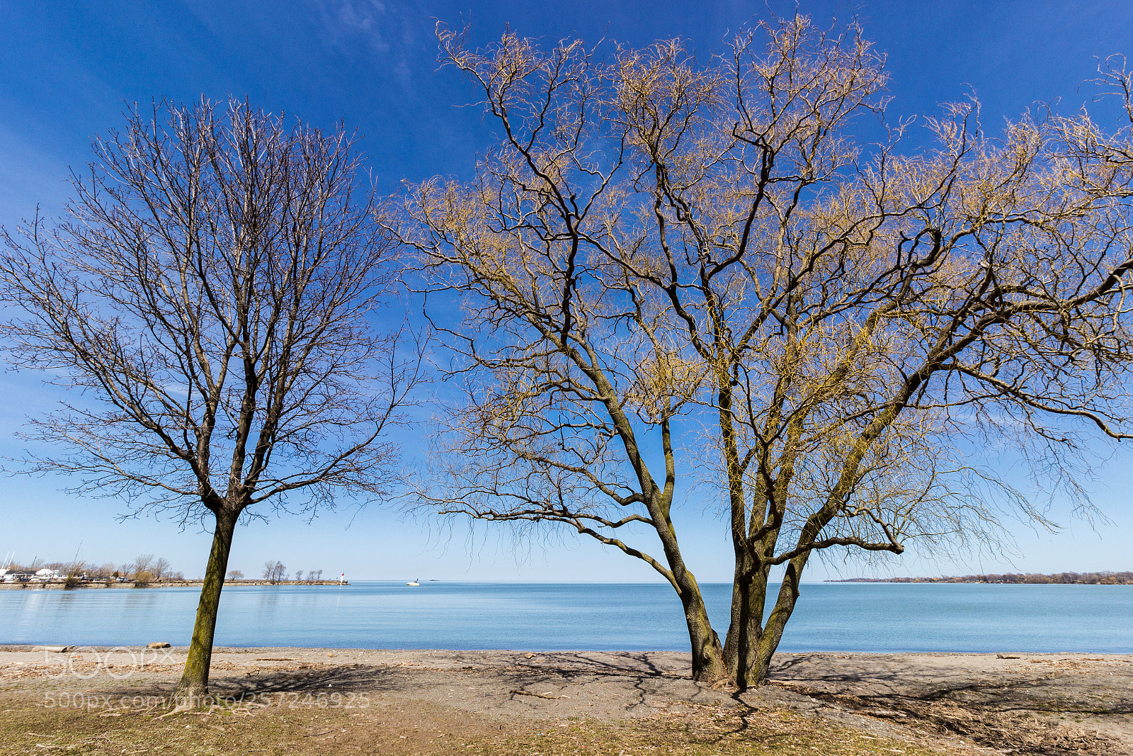 Canon EOS 600D (Rebel EOS T3i / EOS Kiss X5) sample photo. Living by the lake photography