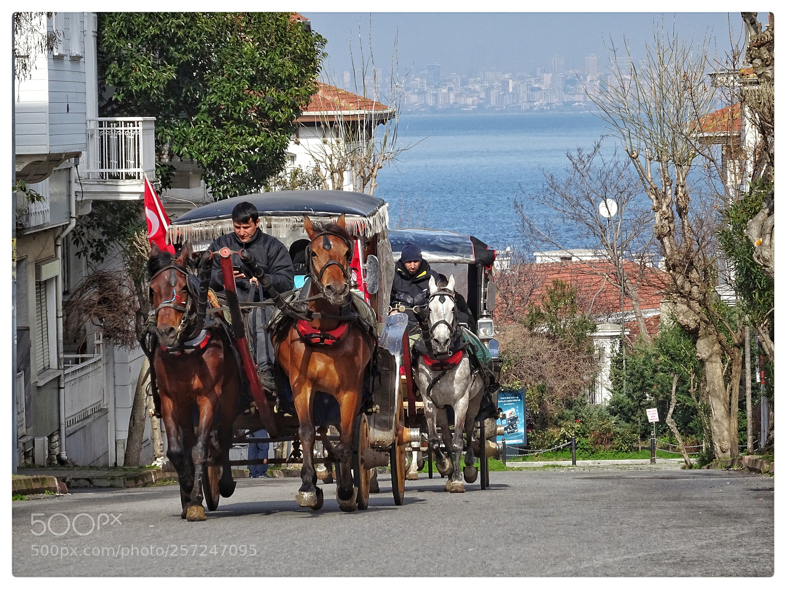 Sony DSC-HX60 sample photo. Büyükada photography