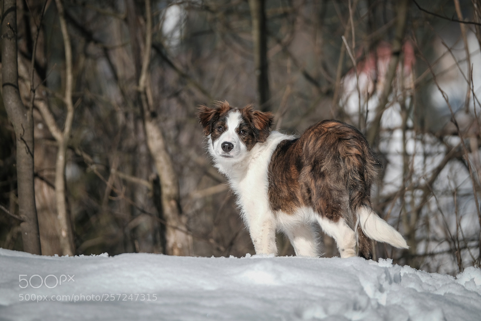 Fujifilm X-T2 sample photo. Annie photography