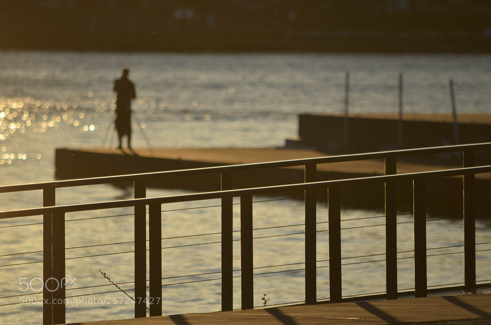 Nikon D5100 sample photo. Shooting the sunset photography