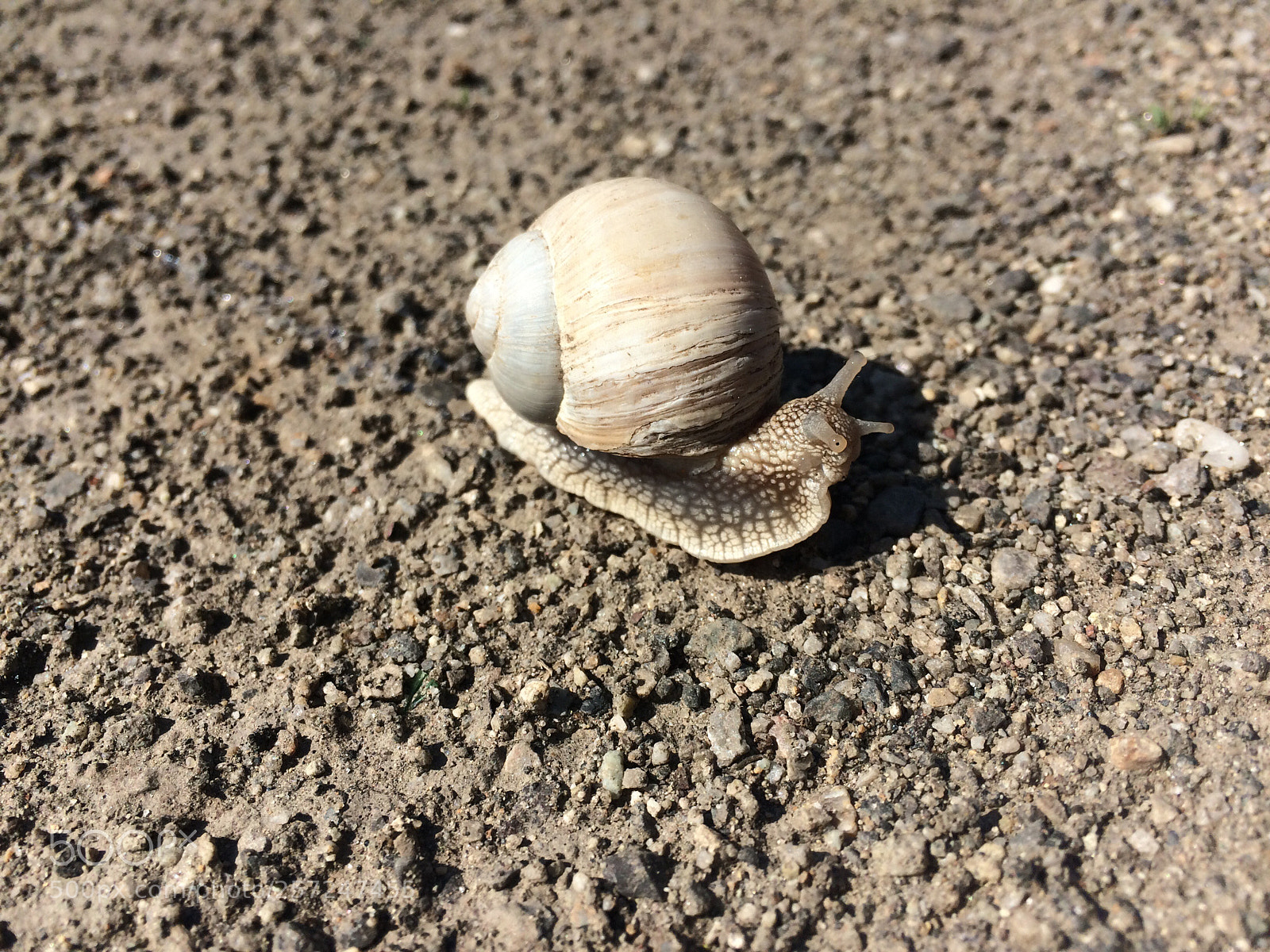 Apple iPhone 5s sample photo. On the road to photography