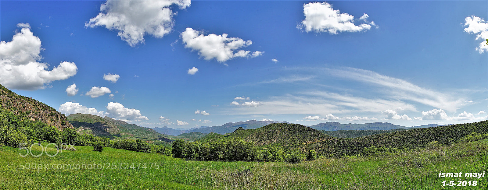 Sony a7 II sample photo. 44.jpg photography